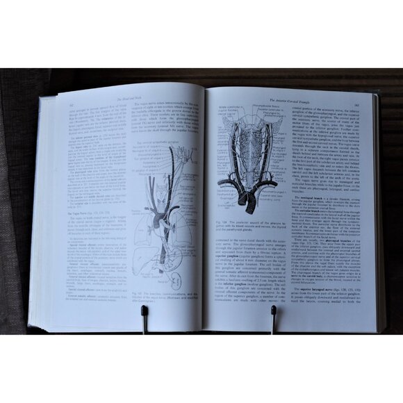 Vintage Medical Book "Essentials of Human Anatomy, Fourth Edition" 1969 Oxford - Picture 5 of 9